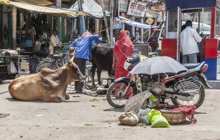 49 - India - Varanasi
